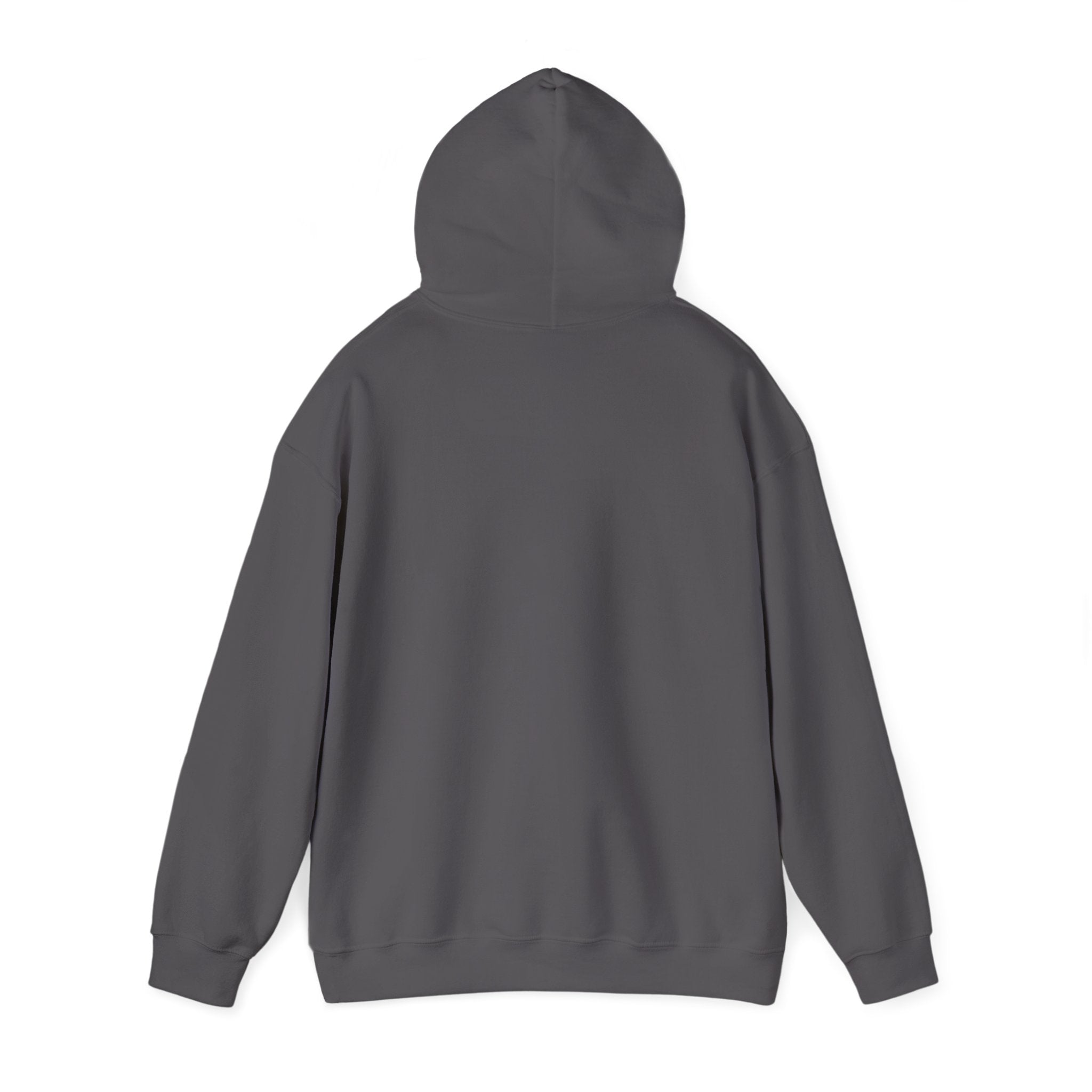 Hoodie Sœurs – Complices depuis toujours | Cadeau pour grande et petite sœur
