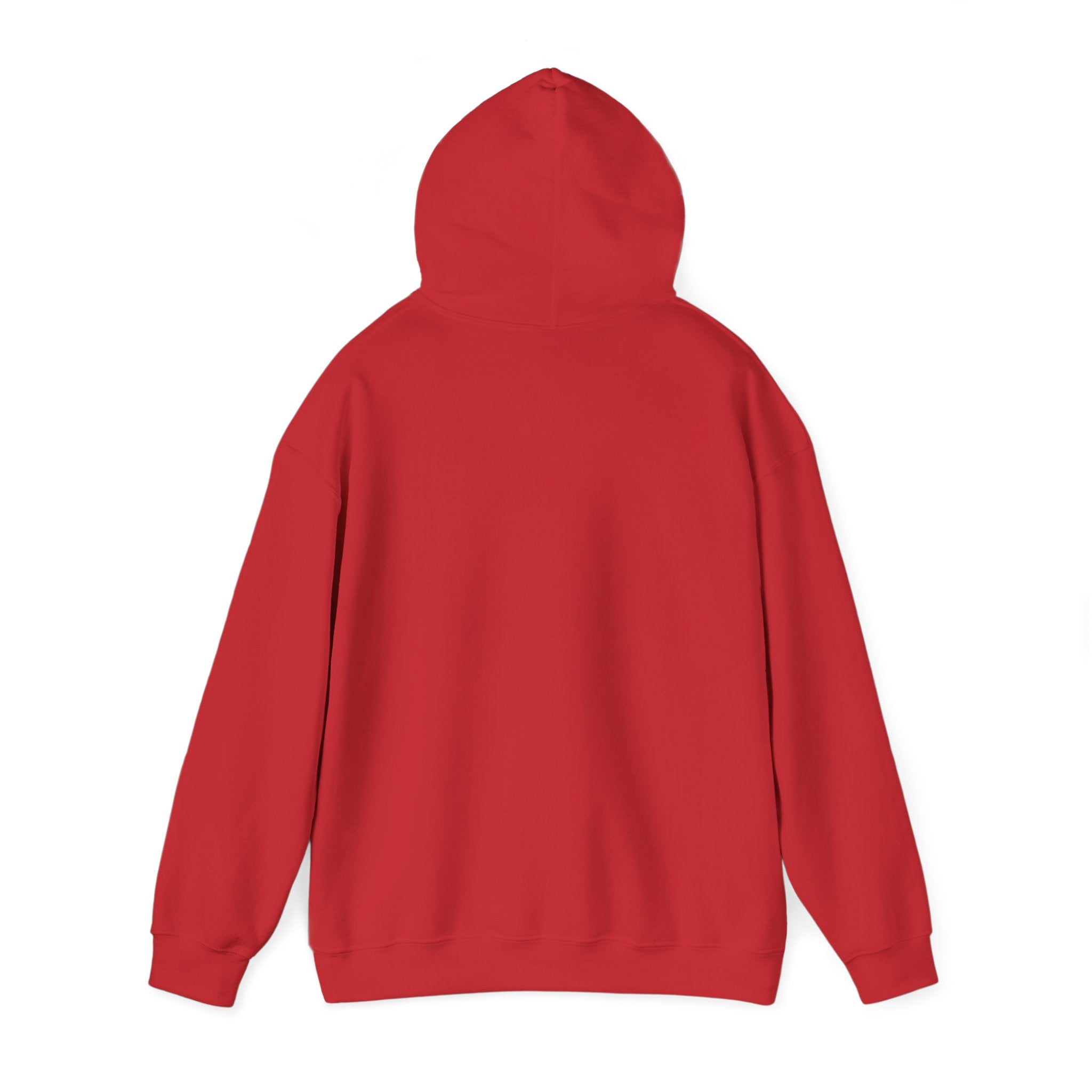 Hoodie Sœurs – Complices depuis toujours | Cadeau pour grande et petite sœur